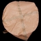 Cemento Scalpings Ton Bag Aggregate Polypropylene 1000kg de Brown